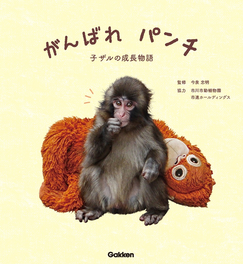 『がんばれ　パンチ　子ザルの成長物語』　＊表紙デザインは変更となる可能性があります。