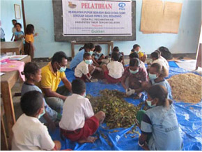 学校での植林活動による災害リスク軽減