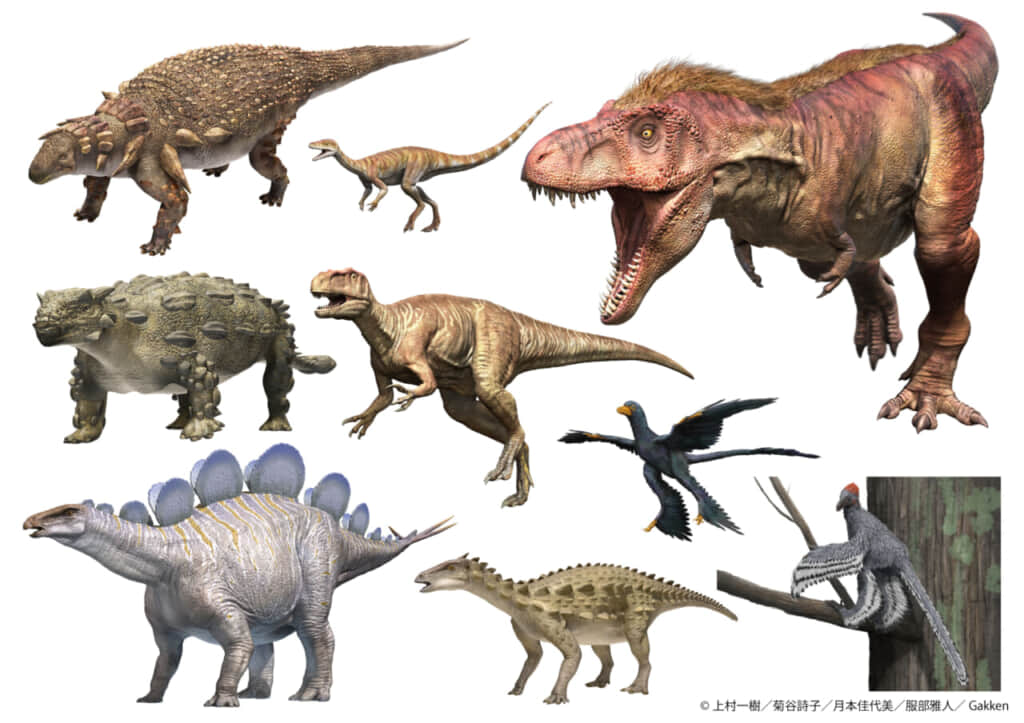 【3/14より開催】特別展「恐竜博2023」開催を記念して『学研の図鑑LIVE』に入場料割引クーポンがついてくる（東京会場限定）！