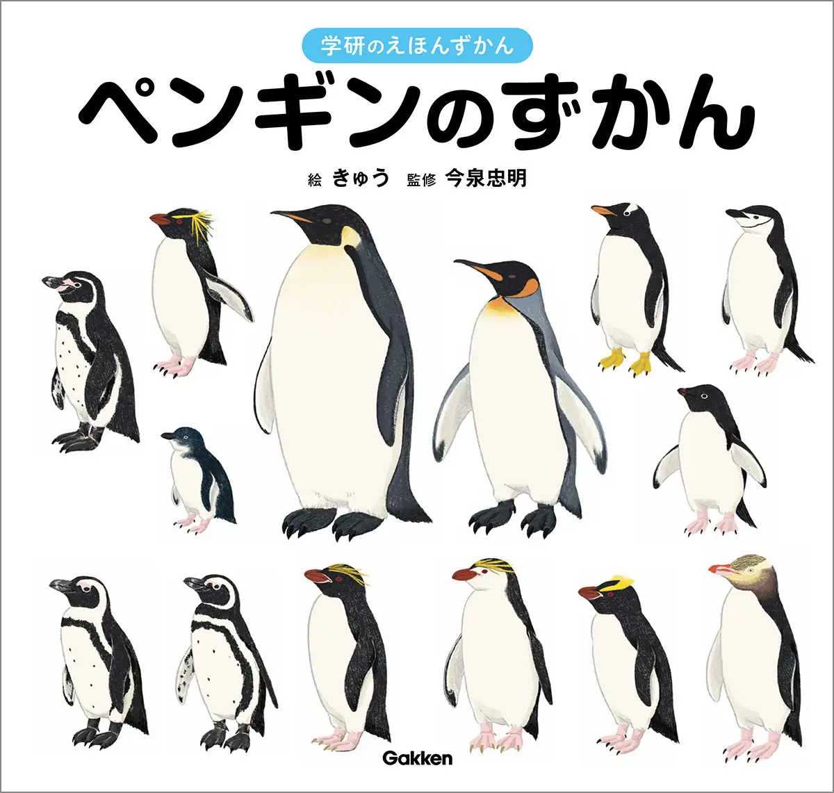 ペンギンがまるごとわかる絵本図鑑、『ペンギンのずかん』が誕生！　この本を読んで、水族館・動物園のペンギンに会いに行こう！
