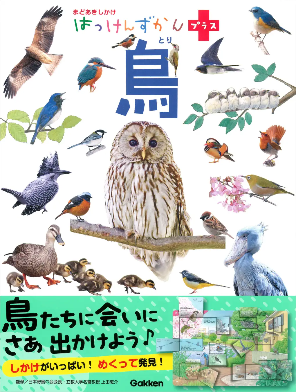 しかけをめくって鳥を発見できる図鑑『はっけんずかんプラス 鳥』発売！ 身近な鳥の世界を知ると、お散歩が楽しくなる♪