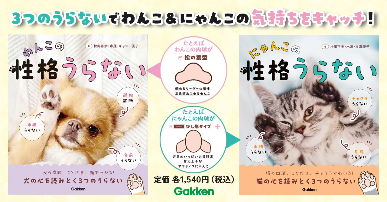 Jinji　鉄板透明ピンク5個　虎キティ22個　阪神キティ4個　合計31個 Jinji様専用 鉄板透明ピンク5個 虎キティ22個 阪神キティ4個