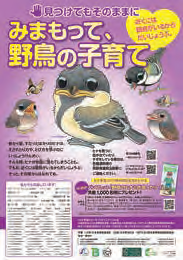 画像提供：日本野鳥の会